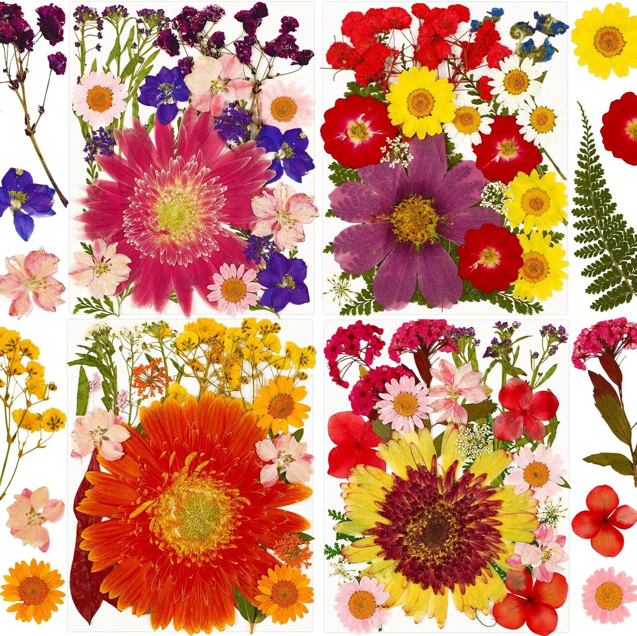 Pressed Dried Flowers, 92Pcs Real Natural Dried Flowers for Resin Molds Big Colorful Dry Pressed Floral